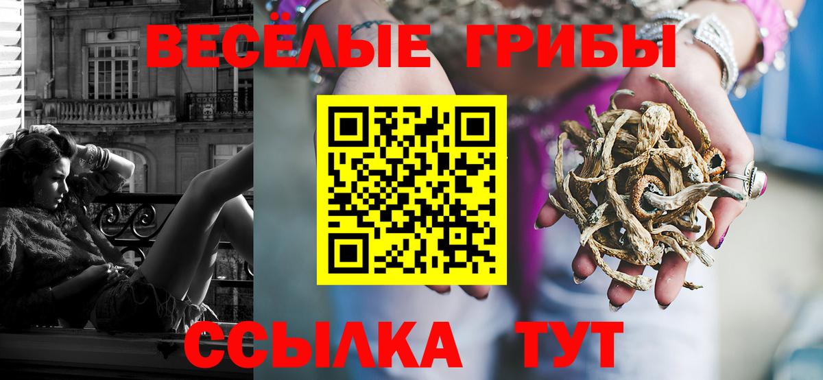Галлюциногенные грибы прущие грибы  Вход с VPN  Малгобек 